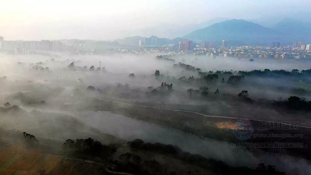 烘培蛋糕记忆卡